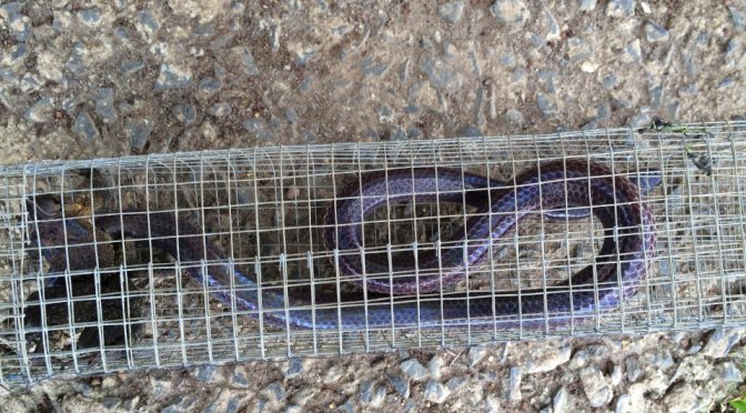 Chúa đã sắp xếp