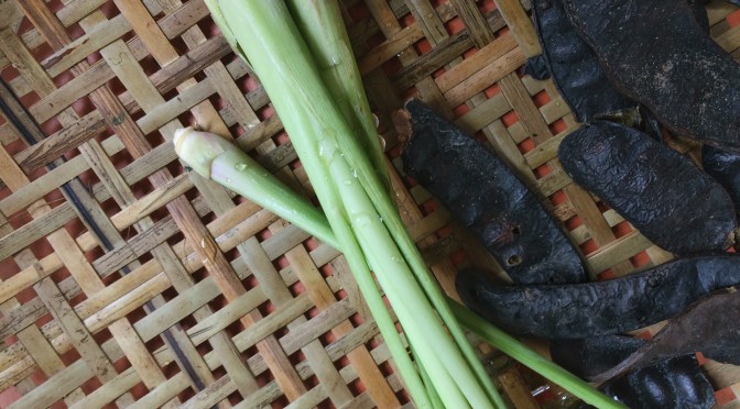 Mùi của tự nhiên