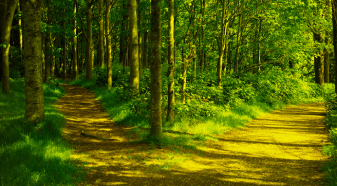 Chia sẻ con đường tâm linh