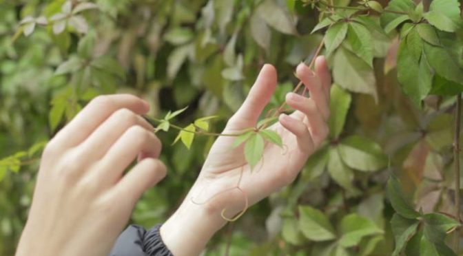 Thượng đế ở mọi nơi*