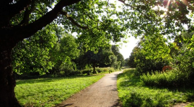 Dẫn mình về nhà, đường quê ơi