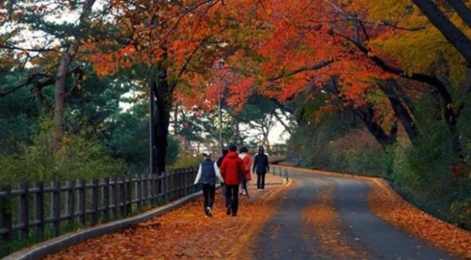 Giữ làm tín hiệu