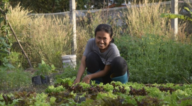 Tại sao nhân lực trình độ cao ít về nông thôn lập nghiệp?