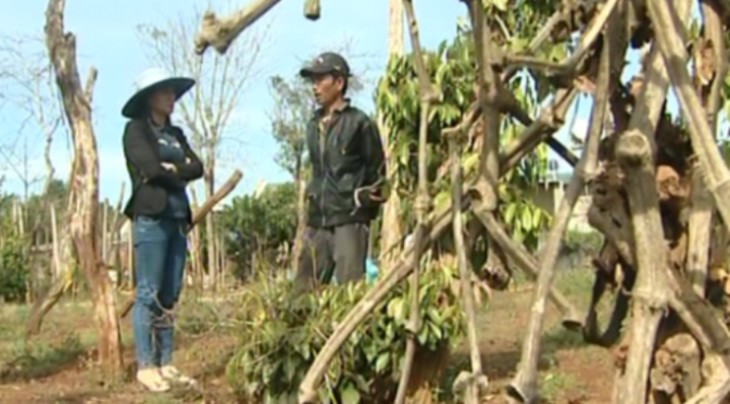 Tình thương của bố mẹ