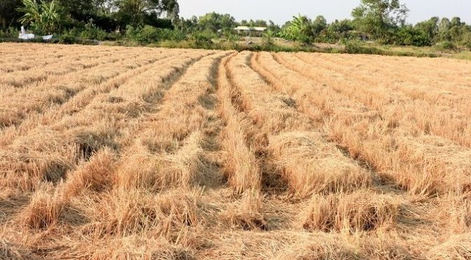 Cho con có hy vọng