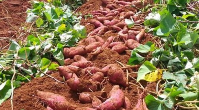 Nói trước nói sau cũng là nói