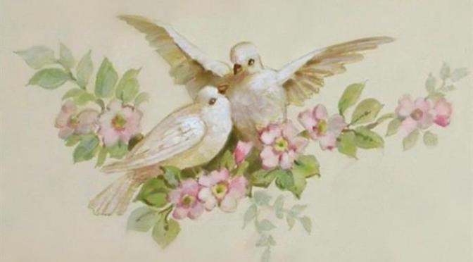 Cánh chim hòa bình