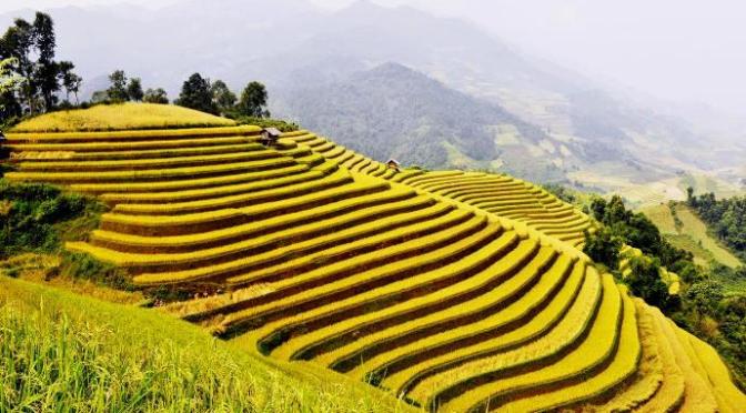 Nhà em ở lưng đồi