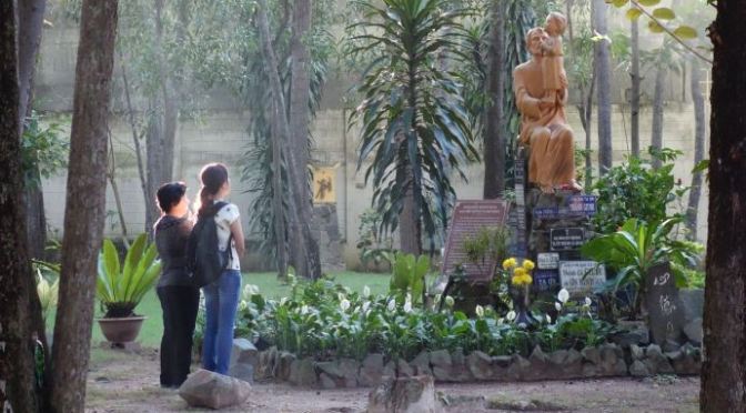 Xin thánh Giuse bầu cử