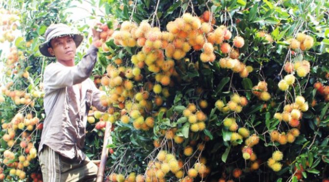 Tình cảm quý hơn tiền