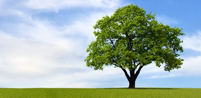 Chăm lo đời sống tinh thần