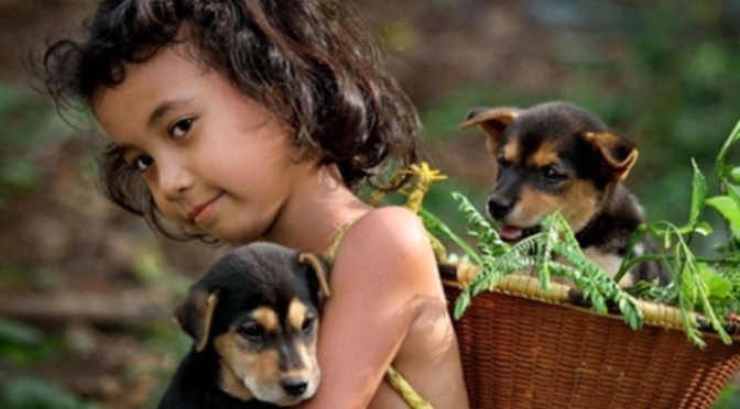 Không phải của mình thì đừng có tham