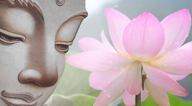 Phật triết là đời