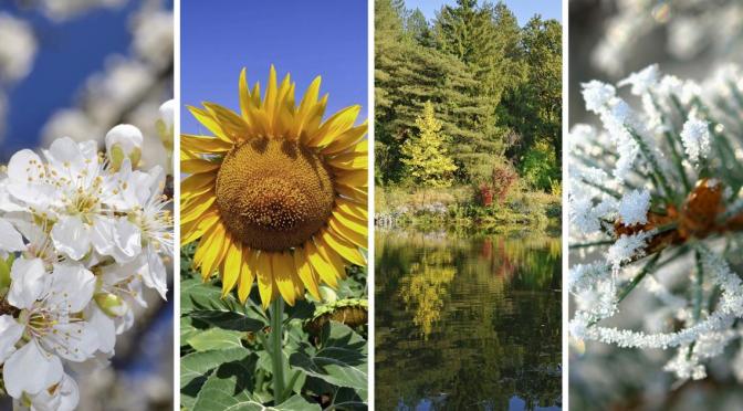 Four Seasons of Vivaldi