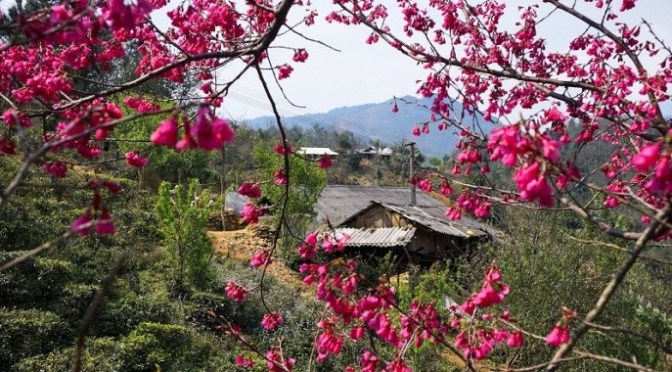 Khúc Giang Kỳ 1 – Đỗ Phủ