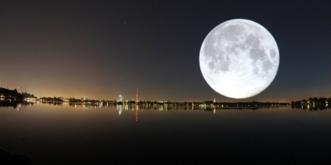 Thành kiến và trí tuệ