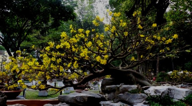 Cáo tật thị chúng – Thiền sư Mãn Giác