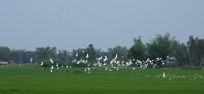 Món ngon Chúa gởi mỗi ngày