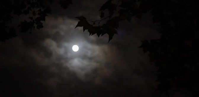 Tĩnh dạ tứ – Lý Bạch