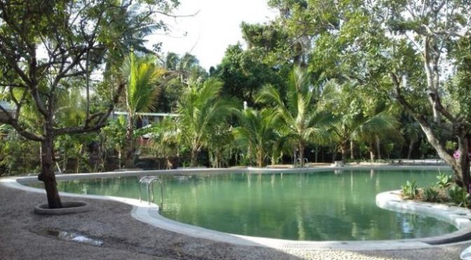 Tin tưởng vào Chúa mà tha cho nhau