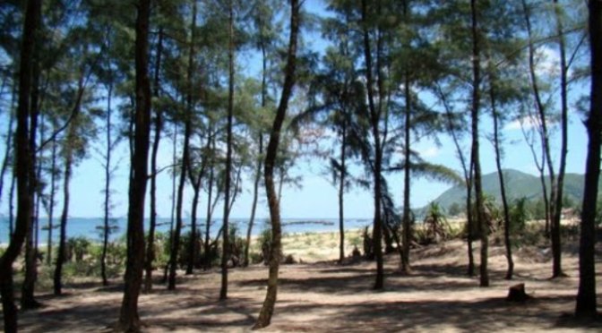 Lời cầu nguyện 622 – Prayer 622