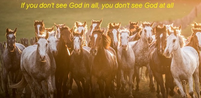 Pháp môn yêu người