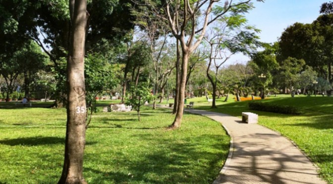 Từ một chỗ khuất trong công viên