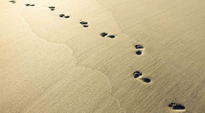 Những yếu tố không biết