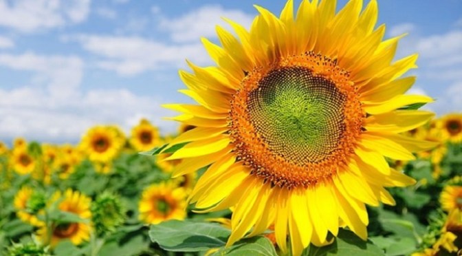 Tư duy tích cực và đời sống bên ngoài