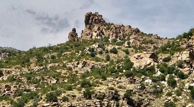 Trời đất yêu thương con người