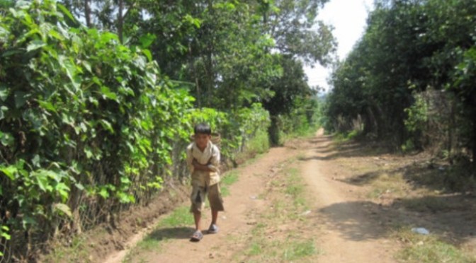 Thương bố nhất nhà