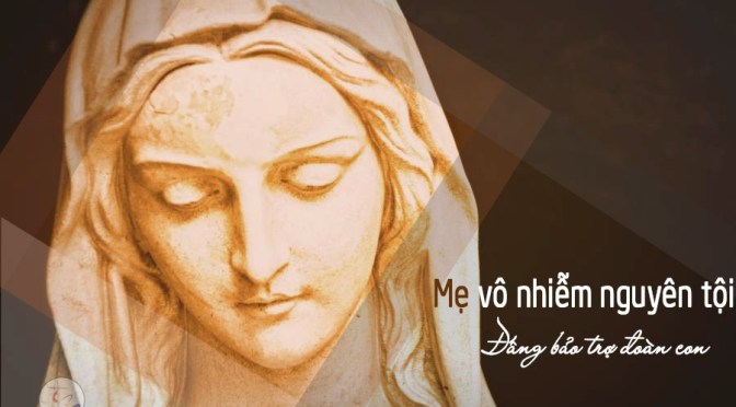 Trái tim vô nhiễm 