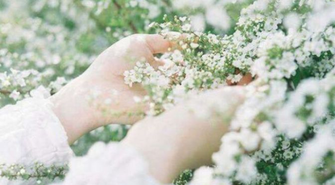 Nương tựa Chúa Phật