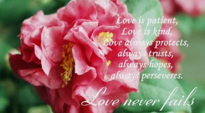 To my sweetheart on our first Valentines’ Day