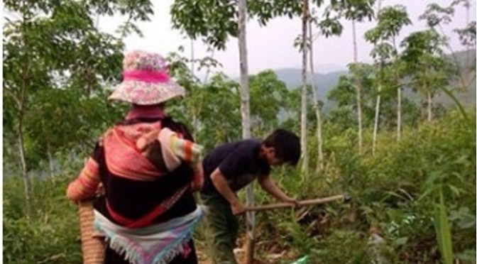 Cố phấn đấu sống thật tốt