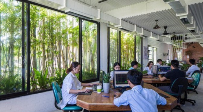 Hoa trái công việc