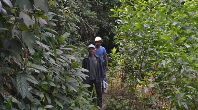 Nhớ rừng, phải vào rừng