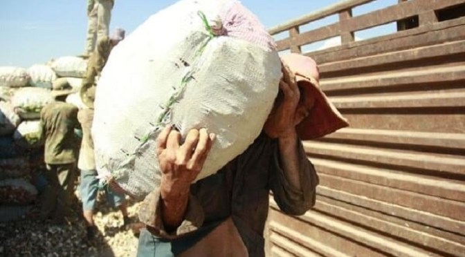 Làm việc vì thương ai?