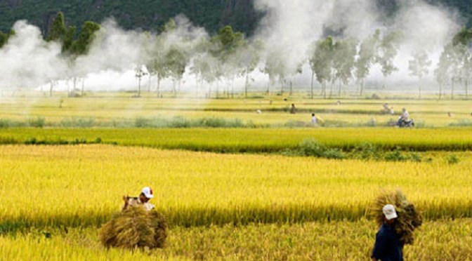 Thái Bình nỗi nhớ trong ta