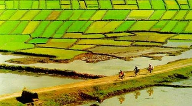 Phát triển Đồng Bằng Sông Cửu Long