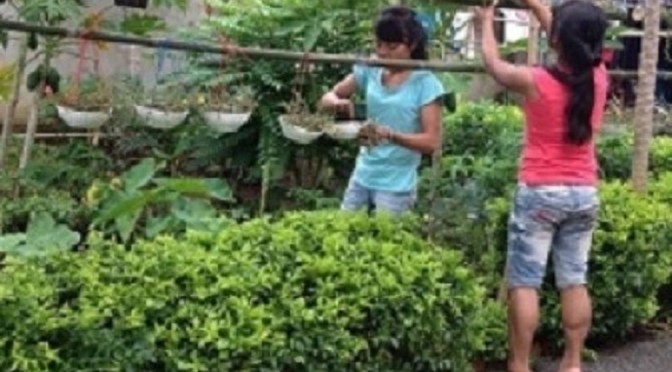 Hỗ trợ con cái biết làm việc