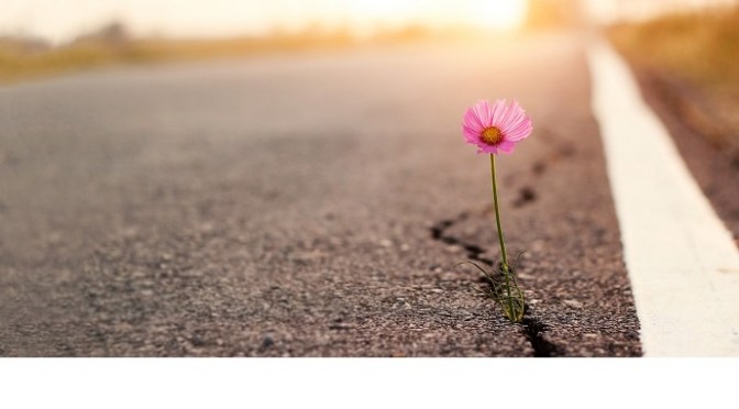 Kiên trì – Persevering