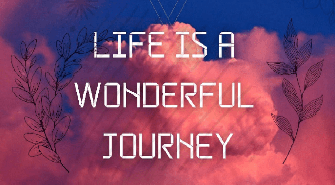 Đường đời đầy kỳ diệu – The way of life is full of wonders