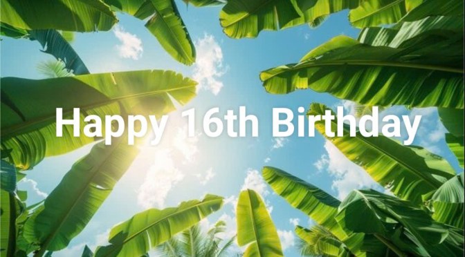 Đọt Chuối Non – Phép lạ kỳ diệu