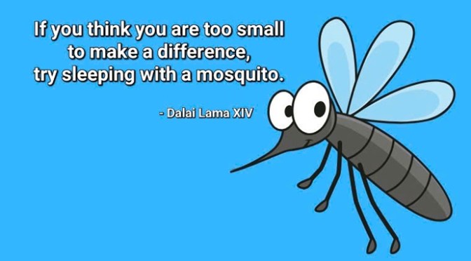 Sleeping with a mosquito