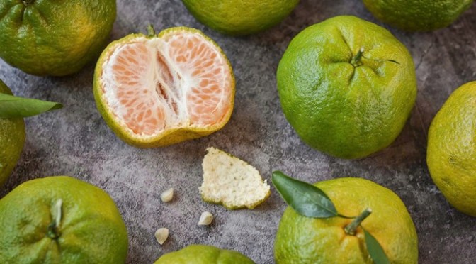 Muong Khuong tangerines