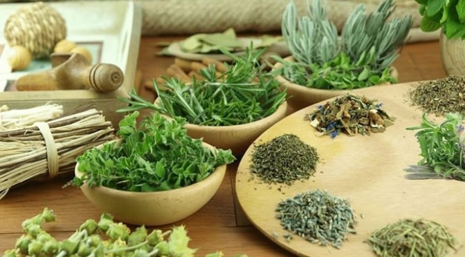 Thuốc Nam cần chiếm tỷ trọng lớn trong các cơ sở y tế cổ truyền – Southern medicine needs to hold a major proportion in traditional medical facilities