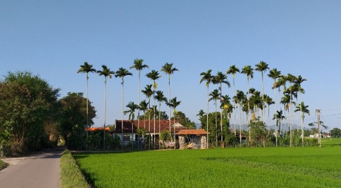 Về quê ngoại